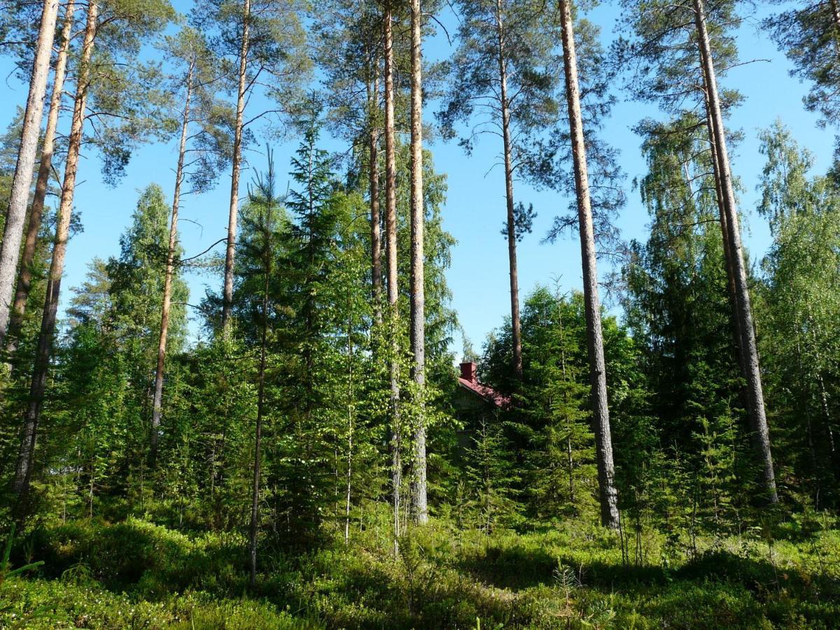Good Life Homestay Ahmovaara Exteriör bild